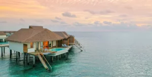 Cinnamon Velifushi - 195.7.4.97 -