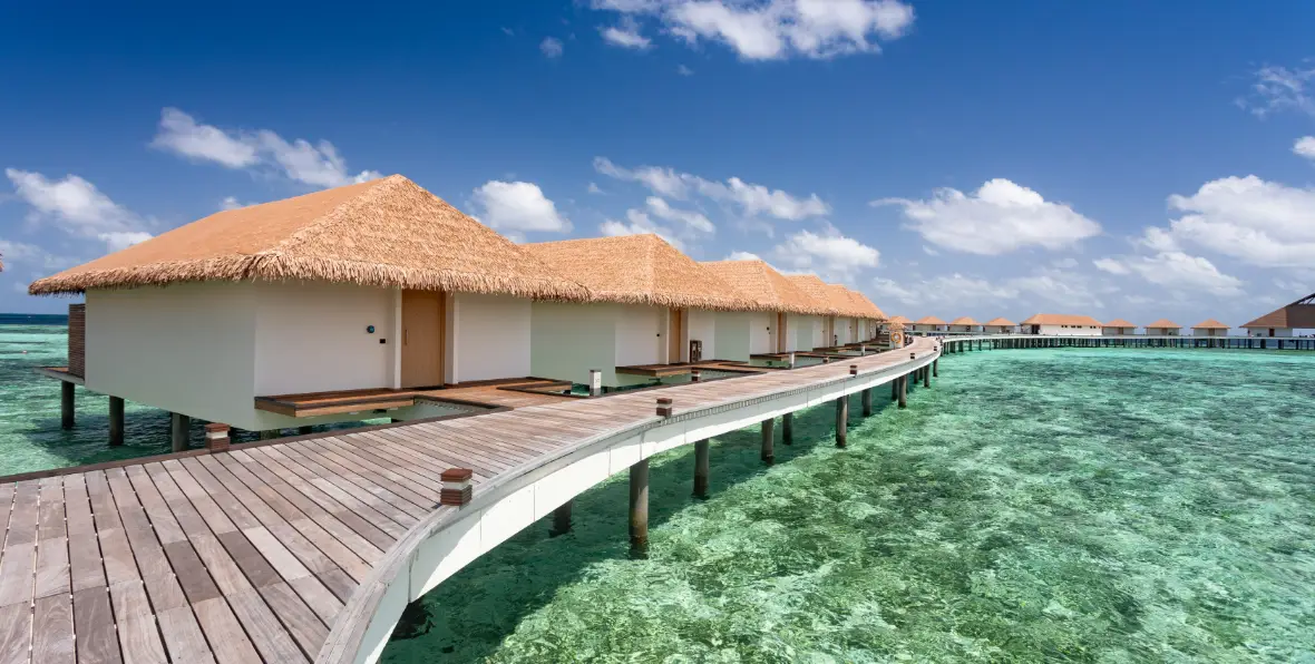 Cinnamon Velifushi - 195.7.4.97 -