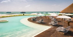 Cinnamon Velifushi - 195.7.4.97 -