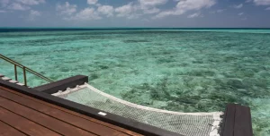 Cinnamon Velifushi - 195.7.4.97 -
