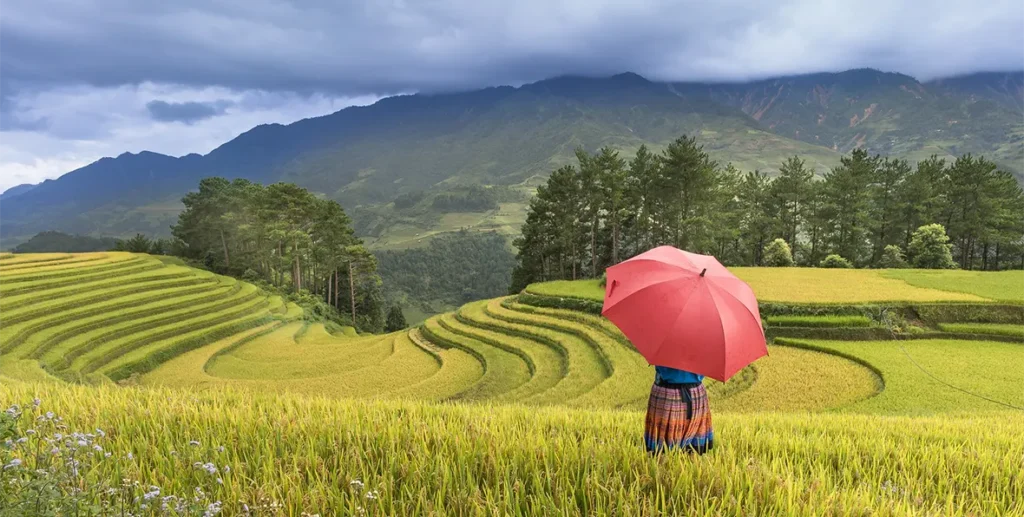 Luna De Miel Vietnam - 195.7.4.97 -