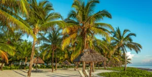 Baraza Resort - 195.7.4.97 -