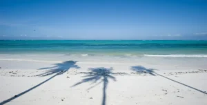 Baraza Resort - 195.7.4.97 -