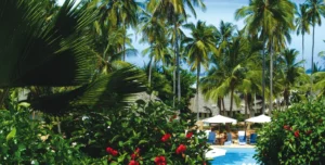 Hotel Diamonds - 195.7.4.97 -