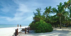 Hotel Diamonds - 195.7.4.97 -