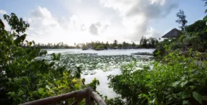 Hotel Pongwe - 195.7.4.97 -