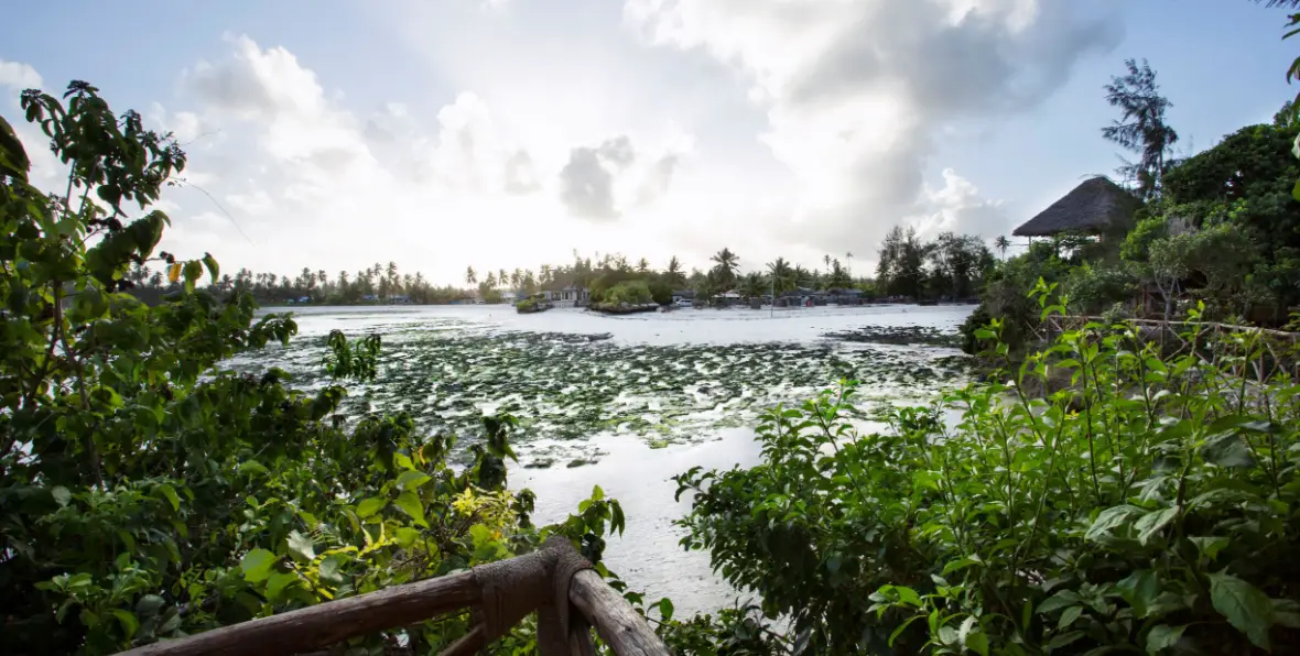 Hotel Pongwe - 195.7.4.97 -