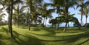 Melia Zanzibar - 195.7.4.97 -