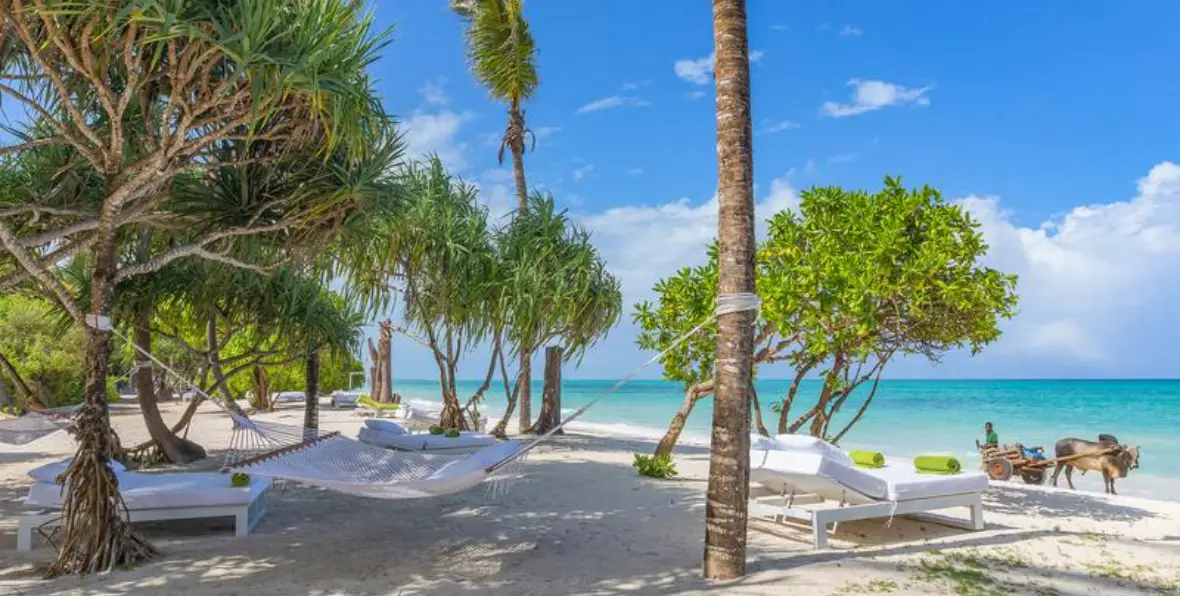 Melia Zanzibar - 195.7.4.97 -