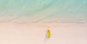 Sandies Baobab - 195.7.4.97 -