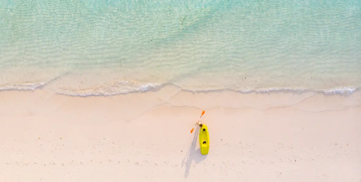 Sandies Baobab - 195.7.4.97 -