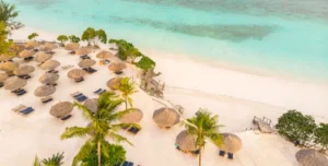 Sandies Baobab - 195.7.4.97 -