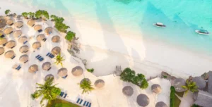 Sandies Baobab - 195.7.4.97 -