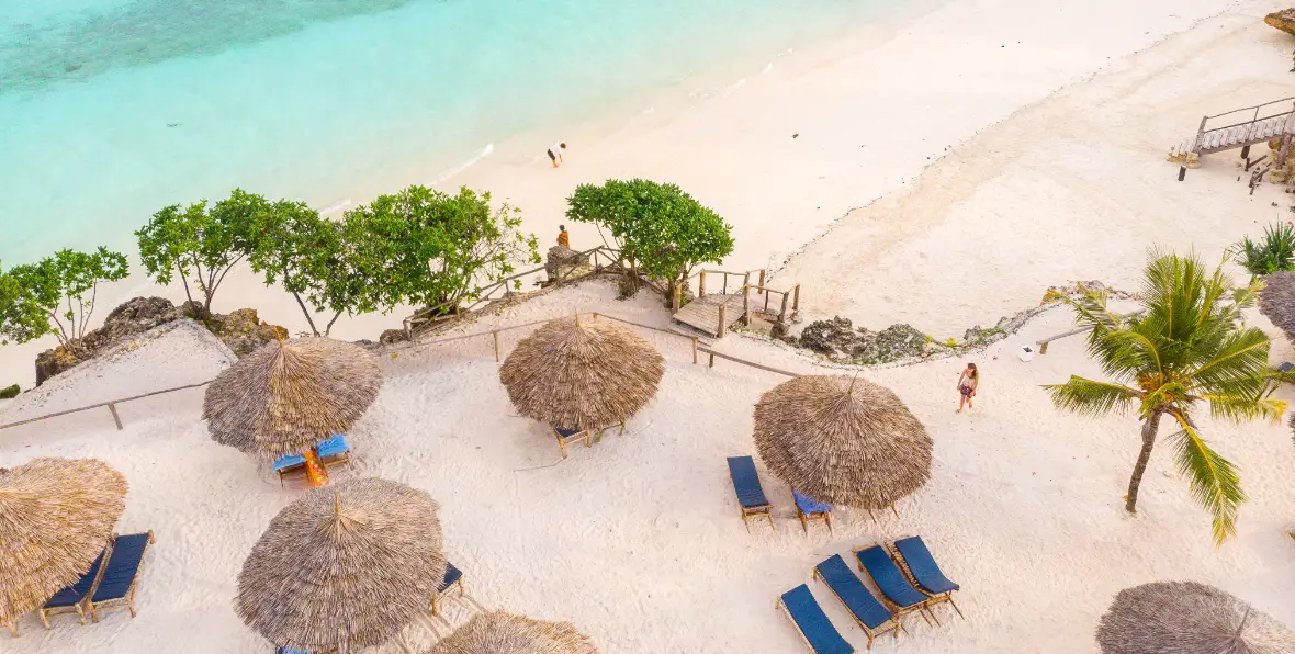 Sandies Baobab - 195.7.4.97 -