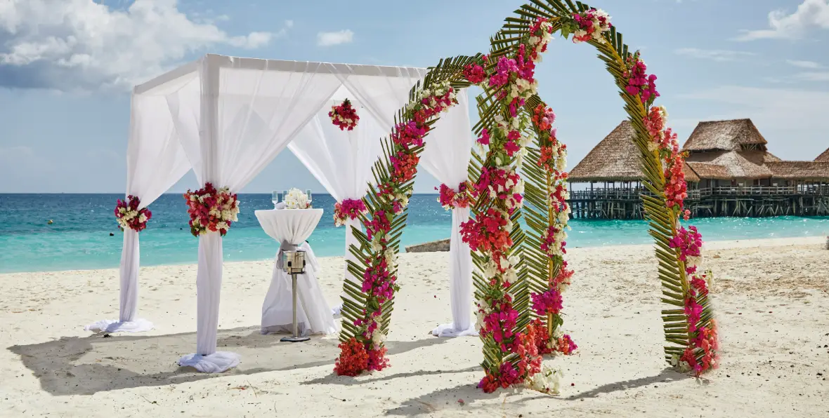 Servicios Jambo - 195.7.4.97 -