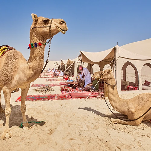 Stopover Viaje Qatar - 195.7.4.97 - Qatar