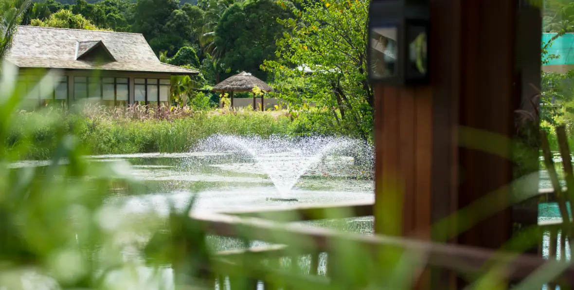 Story Seychelles - 195.7.4.97 -