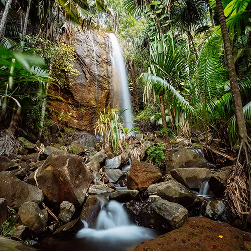 Viaje A Seychelles All Inclusive - 195.7.4.97 - Viaje a Seychelles