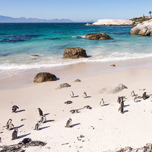 Viaje A Sudafrica A Medida - 195.7.4.97 - Sudáfrica