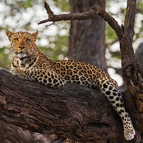 Viaje A Tanzania - 195.7.4.97 - Tanzania