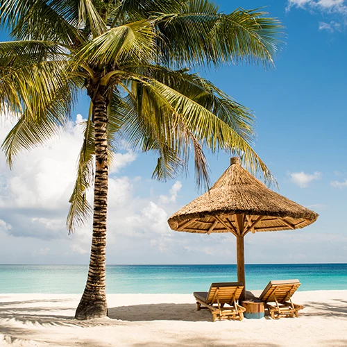 Viaje A Tanzania Playas Zanzibar - 195.7.4.97 - Tanzania