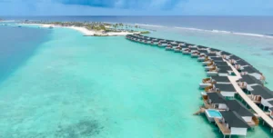 Joy Island - 195.7.4.97 -