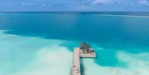 Joy Island - 195.7.4.97 -