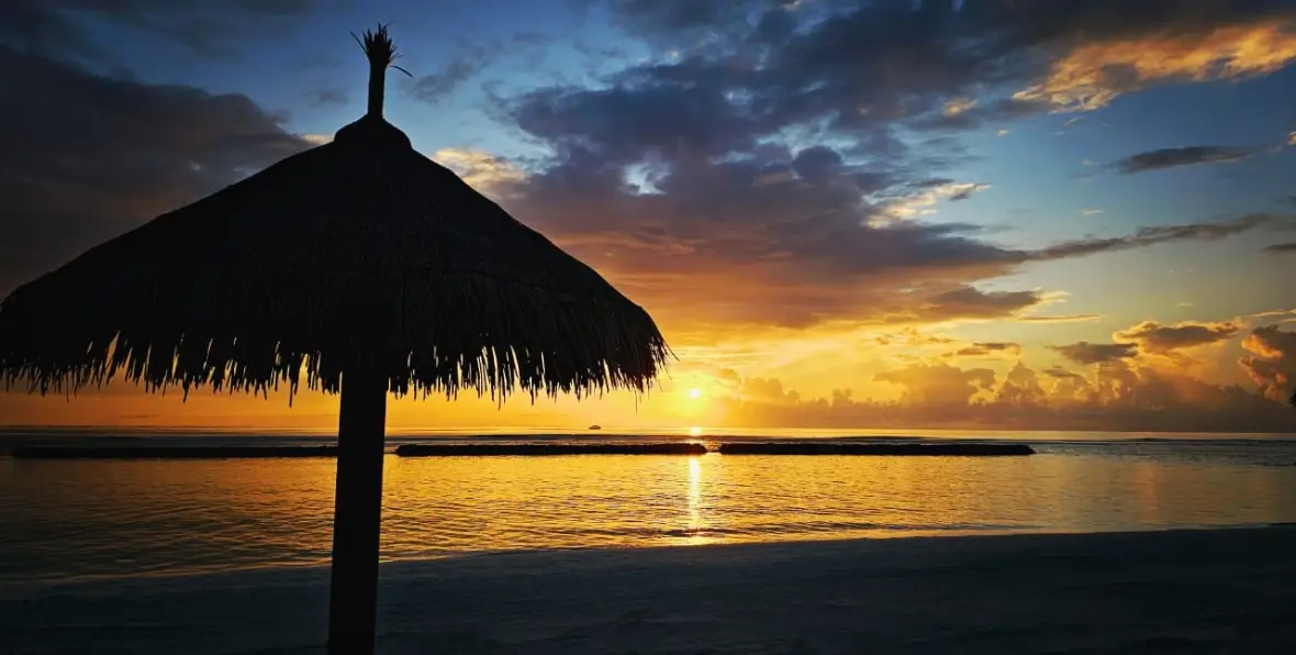 Joy Island - 195.7.4.97 -