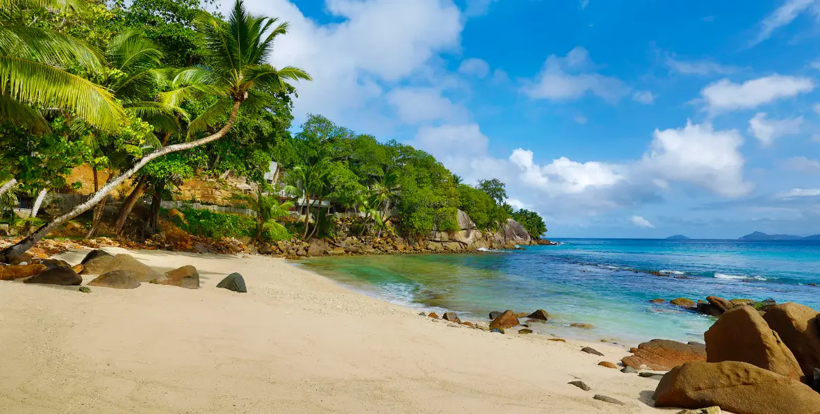 Mango House - 195.7.4.97 -