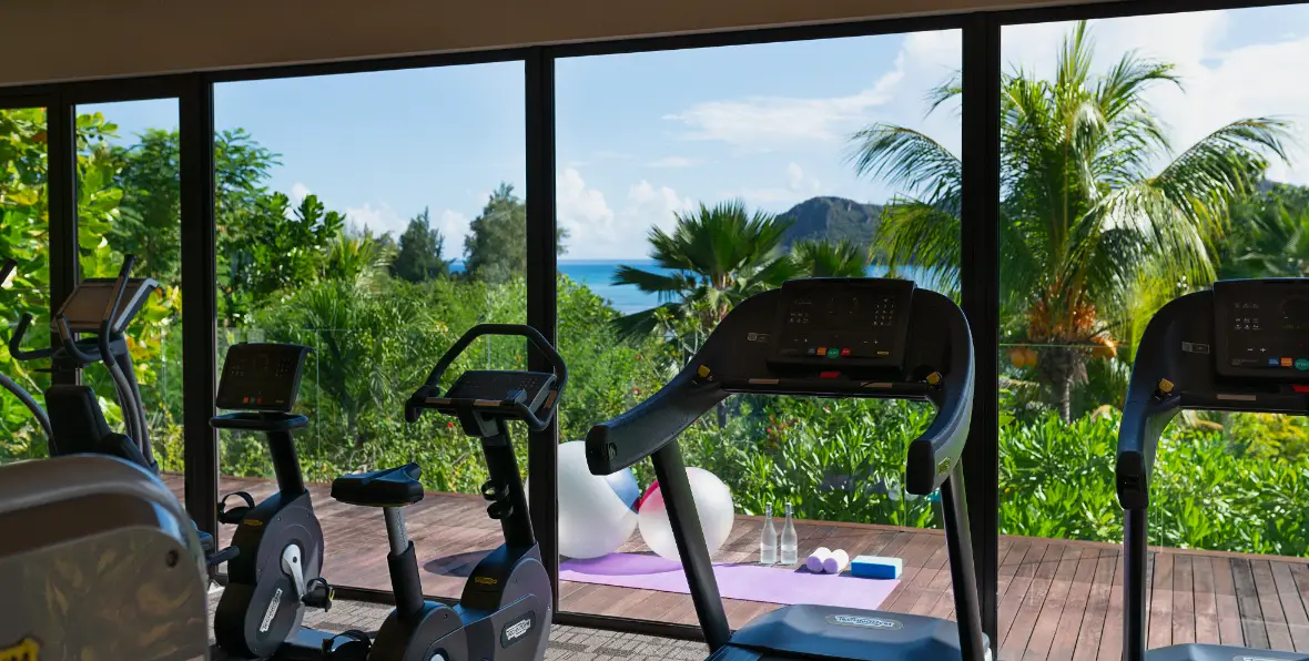 Servicios Raffles Seychelles - 195.7.4.97 -