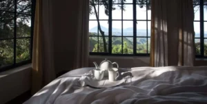 Cloud Mountain - 195.7.4.97 -