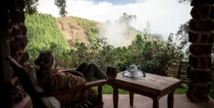 Cloud Mountain - 195.7.4.97 -