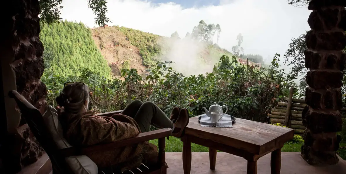 Cloud Mountain - 195.7.4.97 -