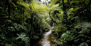 Sanctuary - 195.7.4.97 -