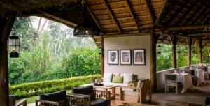 Sanctuary - 195.7.4.97 -