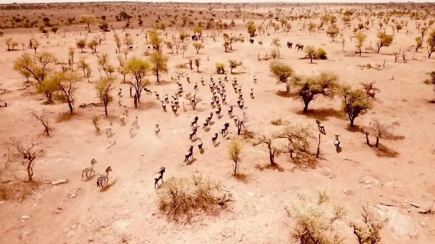 Kenia Hero - 195.7.4.97 -