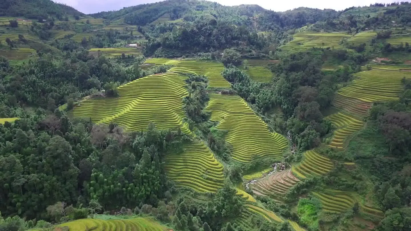 Vietnam Hero - 195.7.4.97 -