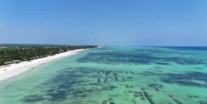 Bluebay - 195.7.4.97 -