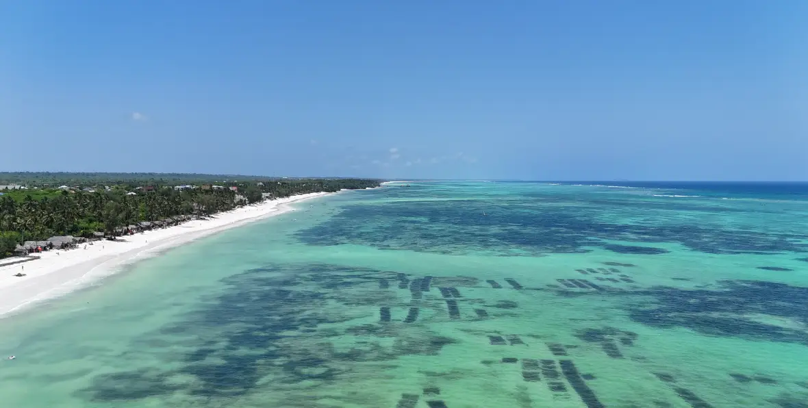 Bluebay - 195.7.4.97 -