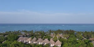 Bluebay - 195.7.4.97 -