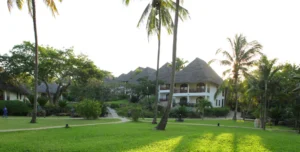 Bluebay - 195.7.4.97 -