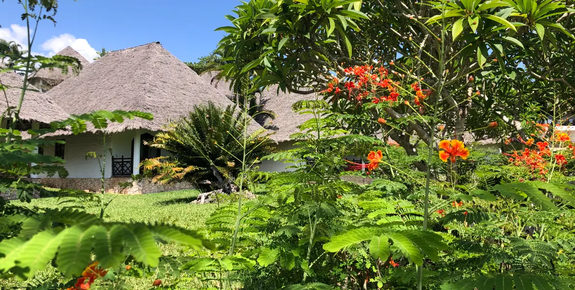 Bluebay - 195.7.4.97 -