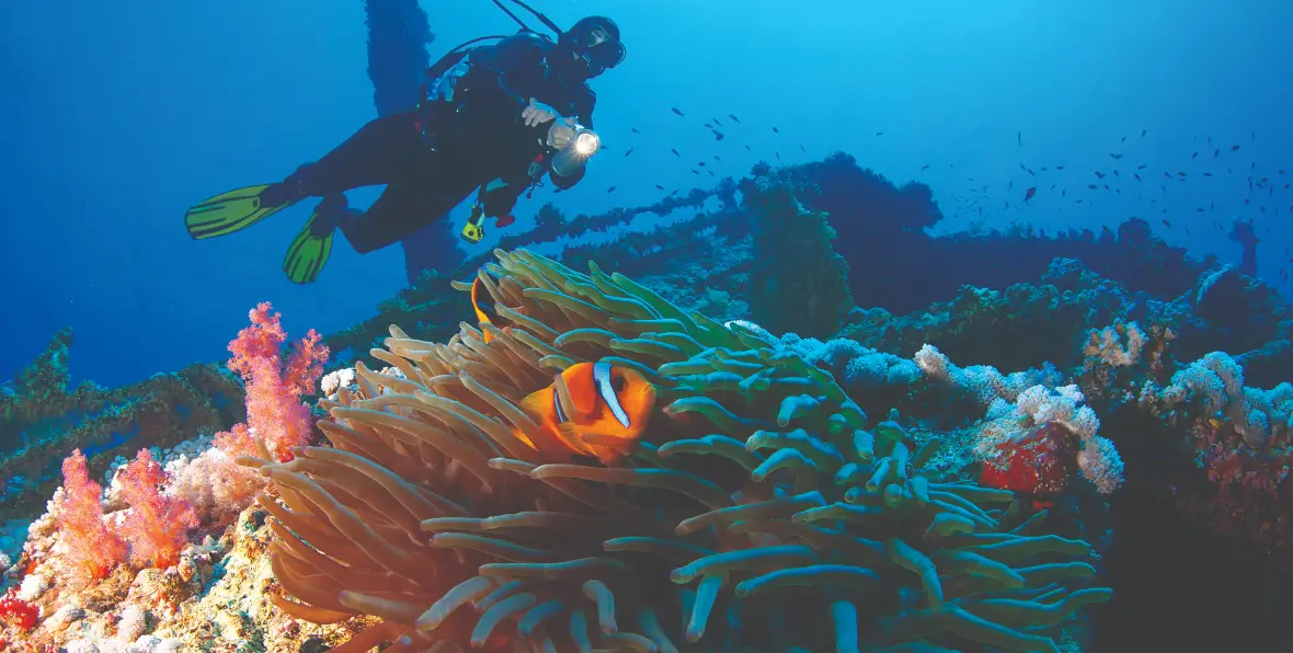 Servicios Act Bluebay - 195.7.4.97 -