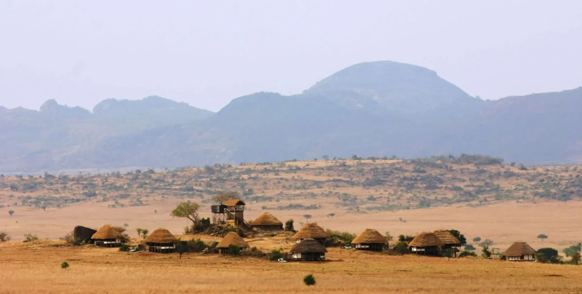 Apoka Safari Lounge - 195.7.4.97 -