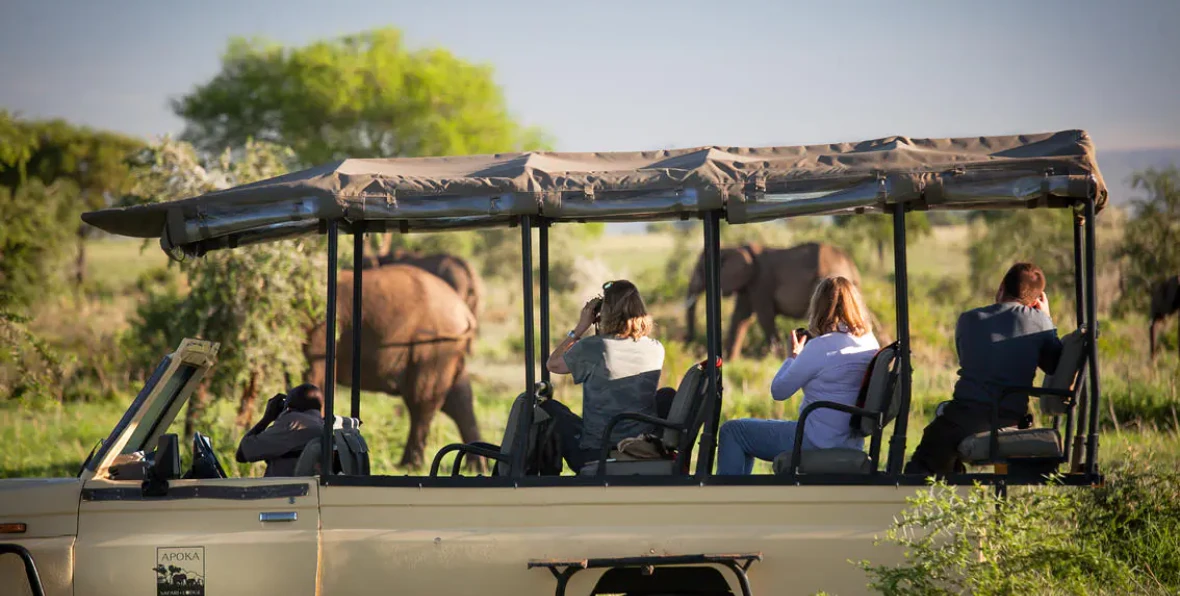 Apoka Safari Lounge - 195.7.4.97 -