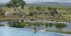 Four Seasons Safari - 195.7.4.97 -