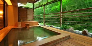 Hotel Iwaso - 195.7.4.97 -