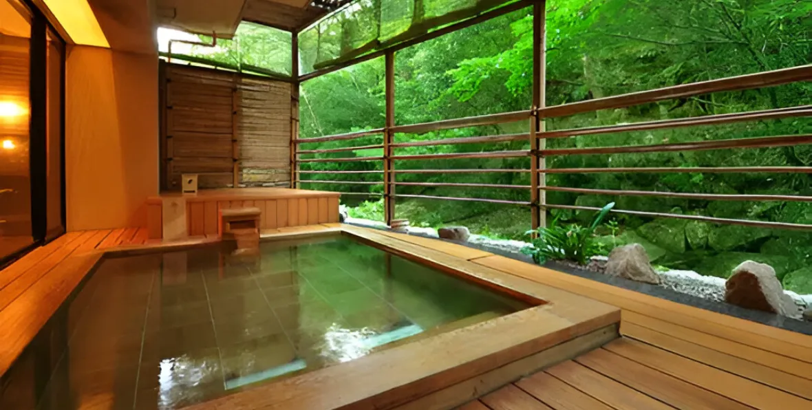 Hotel Iwaso - 195.7.4.97 -