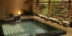 Hotel Iwaso - 195.7.4.97 -