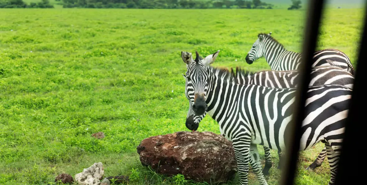 Ngorongoro Melia Lodge Collection - 195.7.4.97 -